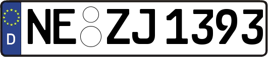 NE-ZJ1393