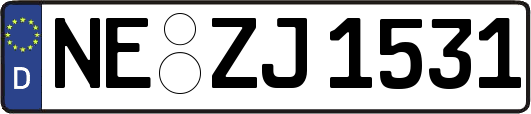 NE-ZJ1531