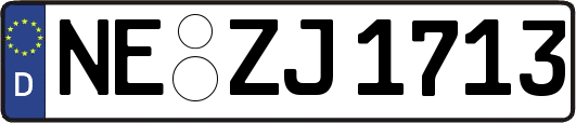 NE-ZJ1713