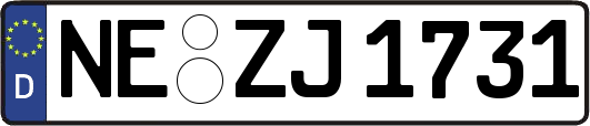 NE-ZJ1731