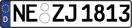 NE-ZJ1813