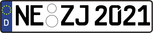 NE-ZJ2021