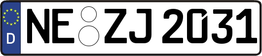 NE-ZJ2031