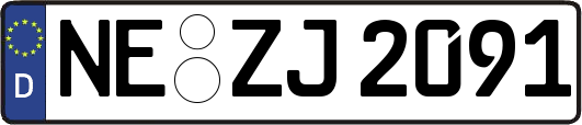 NE-ZJ2091