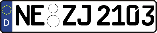 NE-ZJ2103