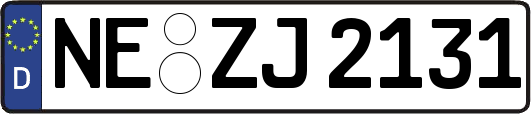 NE-ZJ2131