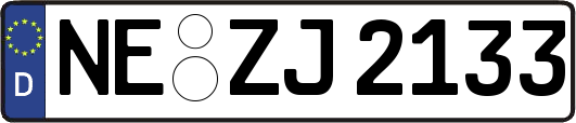 NE-ZJ2133