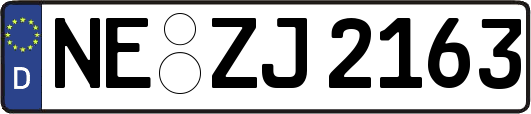 NE-ZJ2163