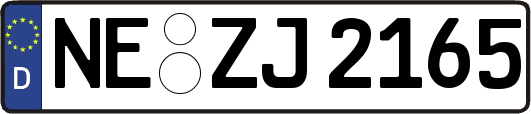 NE-ZJ2165