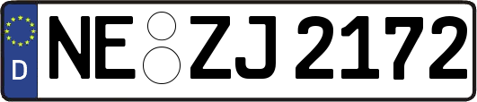 NE-ZJ2172