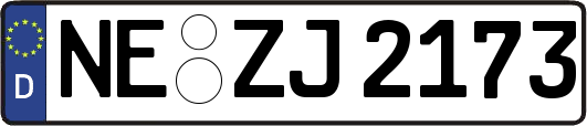 NE-ZJ2173