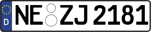 NE-ZJ2181
