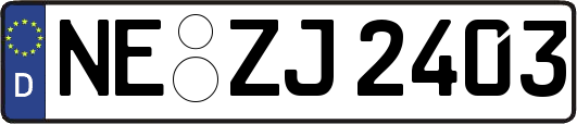 NE-ZJ2403
