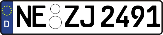 NE-ZJ2491