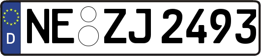 NE-ZJ2493