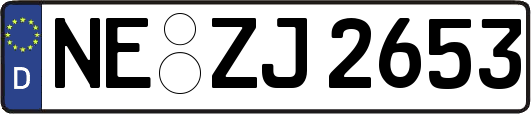 NE-ZJ2653