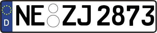 NE-ZJ2873