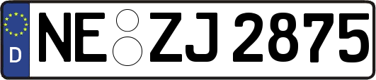 NE-ZJ2875