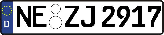 NE-ZJ2917