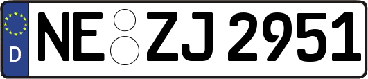 NE-ZJ2951