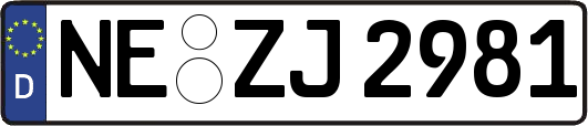 NE-ZJ2981