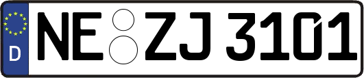 NE-ZJ3101