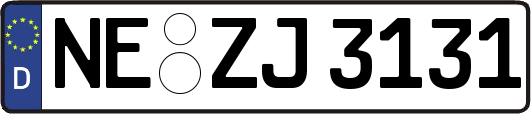 NE-ZJ3131