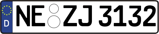NE-ZJ3132