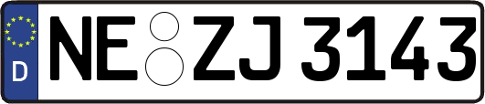 NE-ZJ3143