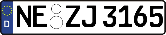 NE-ZJ3165
