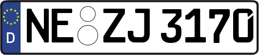 NE-ZJ3170