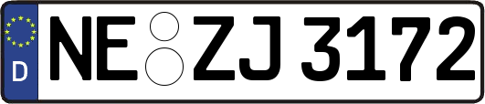 NE-ZJ3172