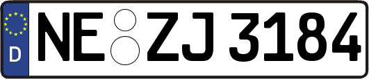 NE-ZJ3184