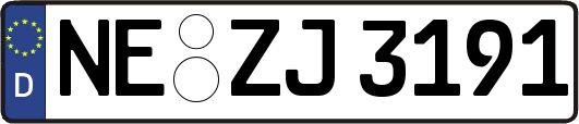 NE-ZJ3191