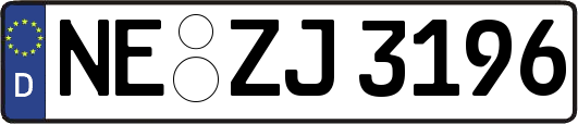 NE-ZJ3196