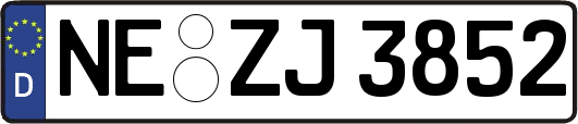 NE-ZJ3852