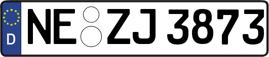 NE-ZJ3873
