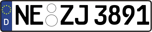 NE-ZJ3891