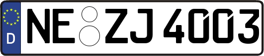 NE-ZJ4003