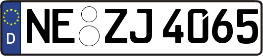 NE-ZJ4065