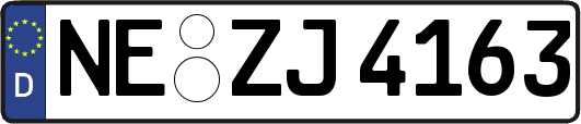 NE-ZJ4163