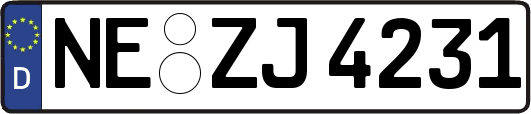 NE-ZJ4231