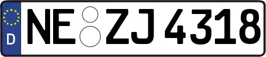 NE-ZJ4318