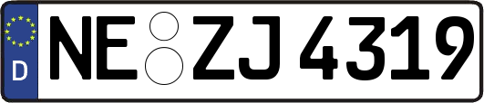 NE-ZJ4319
