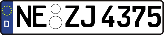 NE-ZJ4375