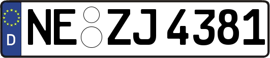 NE-ZJ4381