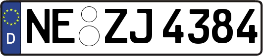 NE-ZJ4384