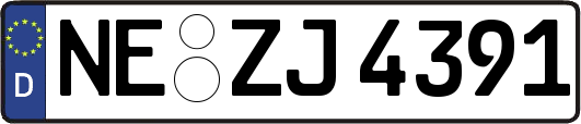 NE-ZJ4391