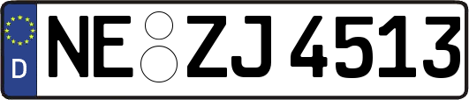 NE-ZJ4513