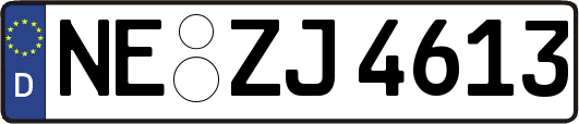 NE-ZJ4613